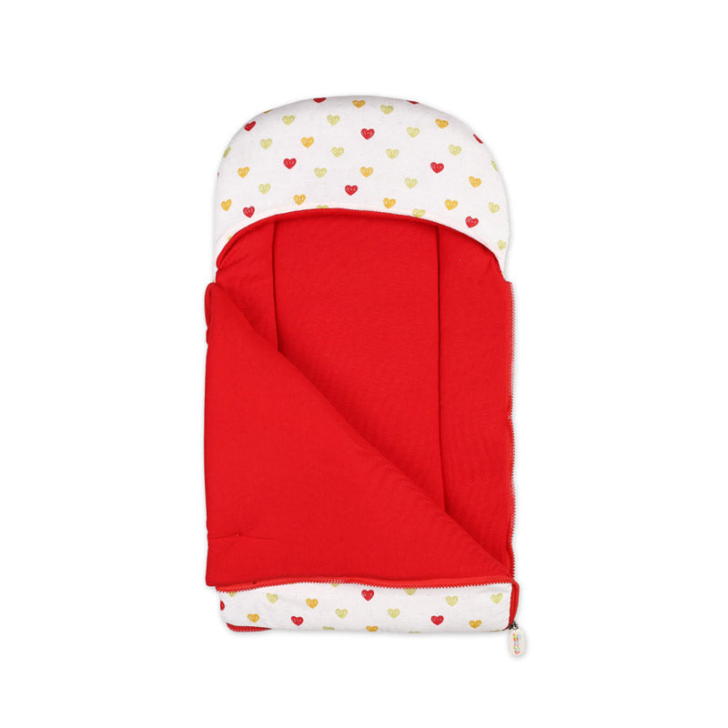 Carry Nest at BabiesAura