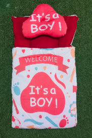 Baby Carry Nest “It’s a Boy”